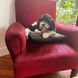 Picture of Mimi