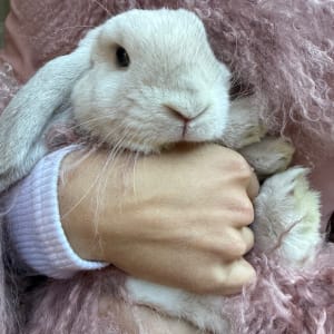 Picture of Pablo
