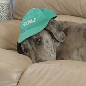 Picture of Willow