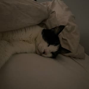 Picture of Matilda
