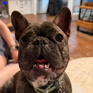 Picture of Maverick