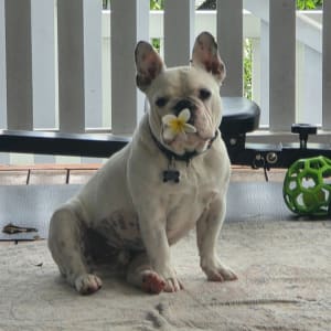 Picture of Winston