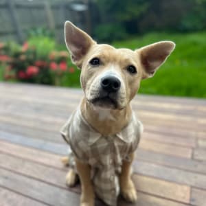 Picture of Winnie
