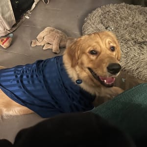 Picture of Finley