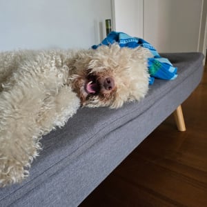 Picture of Charlie Montero