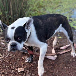 Picture of Winnie