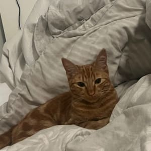 Picture of Jerry