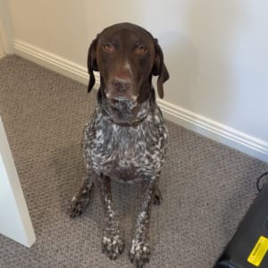 Picture of Maya