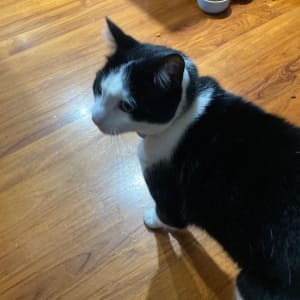 Picture of Freddie