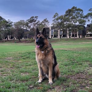 Picture of Hero