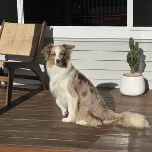 Picture of Winnie