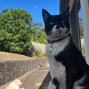 Picture of Bella