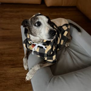Picture of Ted