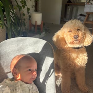 Picture of Bailey