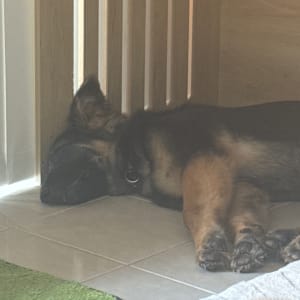 Picture of Zuko