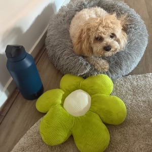 Picture of Ted