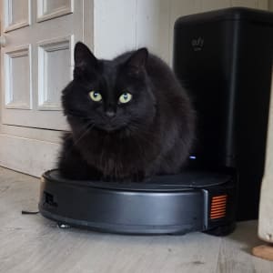 Picture of Luna