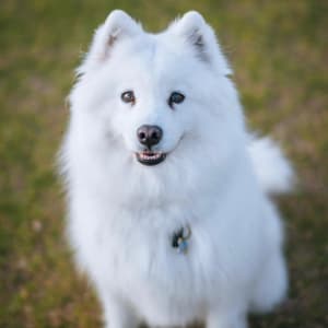 Picture of Andi