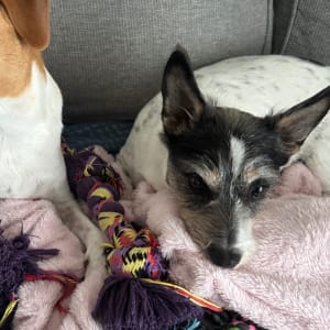 Picture of Jake