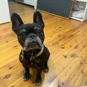 Picture of Bob