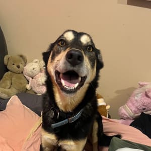 Picture of Rodger