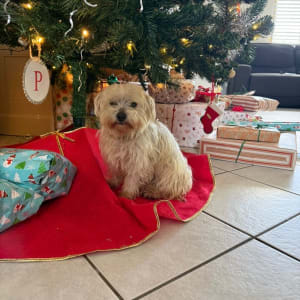 Picture of Mimi