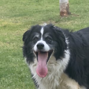 Picture of Billy