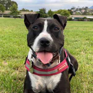 Picture of Mia