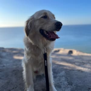 Picture of Tom