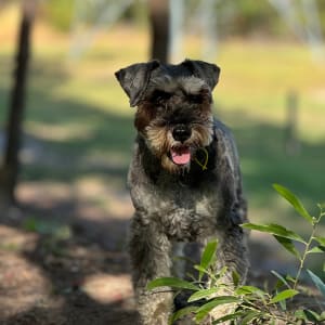 Picture of Charlie