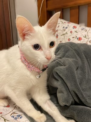 Picture of Noelle