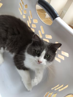 Picture of Sophie