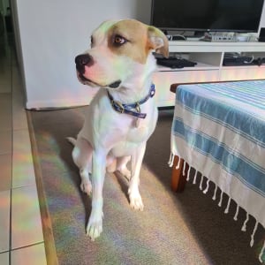 Picture of Darla