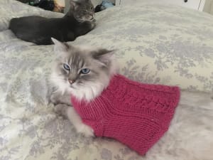 Picture of Minnaloushe