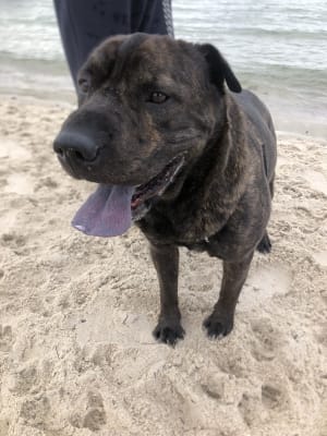 Picture of Oliver