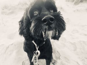 Picture of Eddie