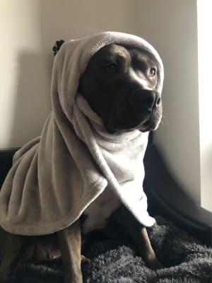 Picture of Priscilla