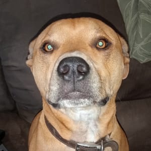 Picture of Billy