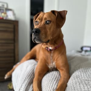 Picture of Hope