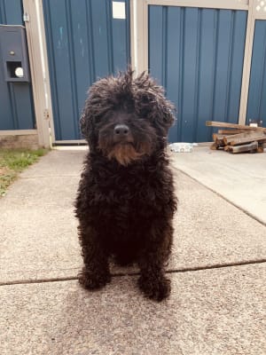 Picture of Jet