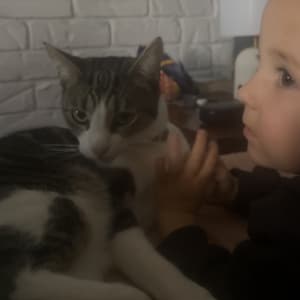 Picture of Kitty