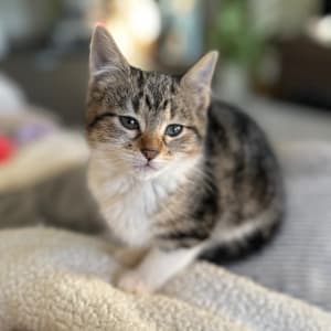 Picture of Winnie