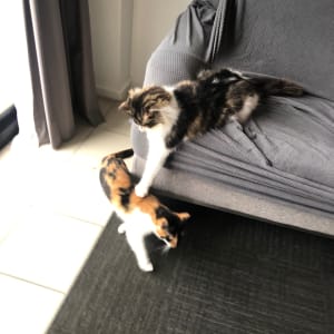 Picture of Stewart Bartholomew Boulton