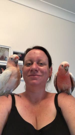 Picture of Beanie and Bowie