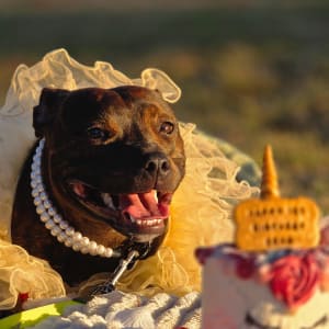 Picture of Xena