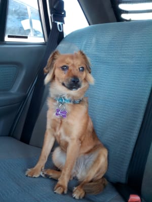 Picture of Suzie