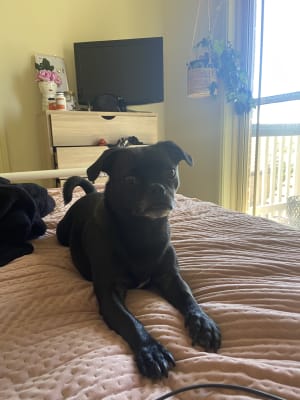 Picture of Betty