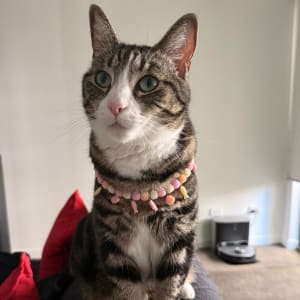 Picture of Zoe