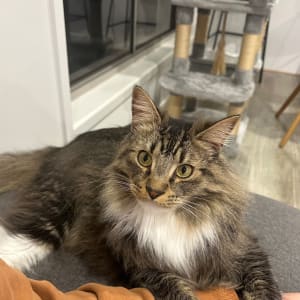 Picture of Walter