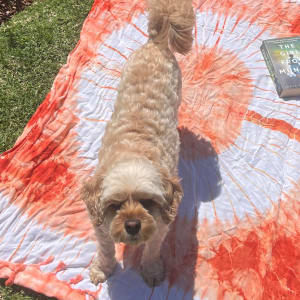 Picture of Millie